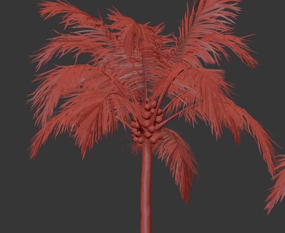 Palm trees Vol 1 3D model_17