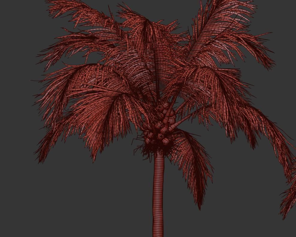 Palm trees Vol 1 3D model_19