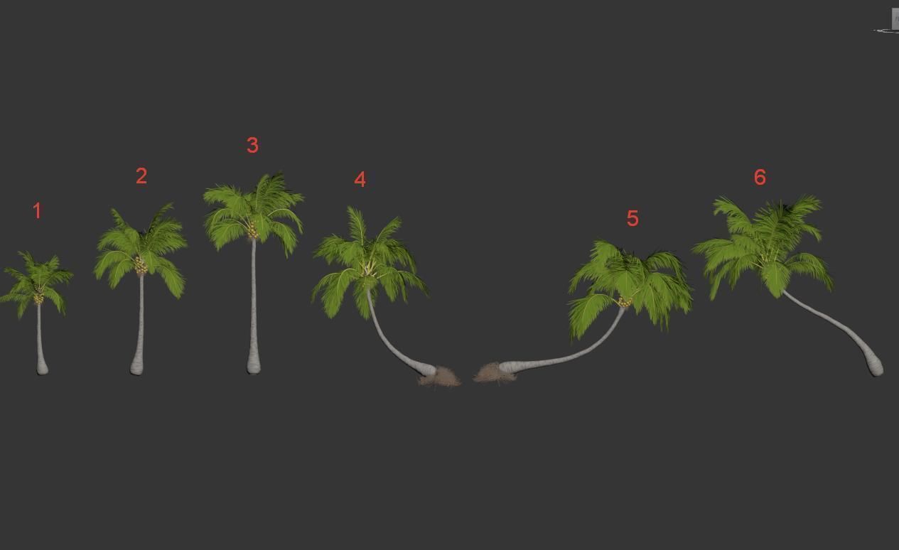 Palm trees Vol 1 3D model_11