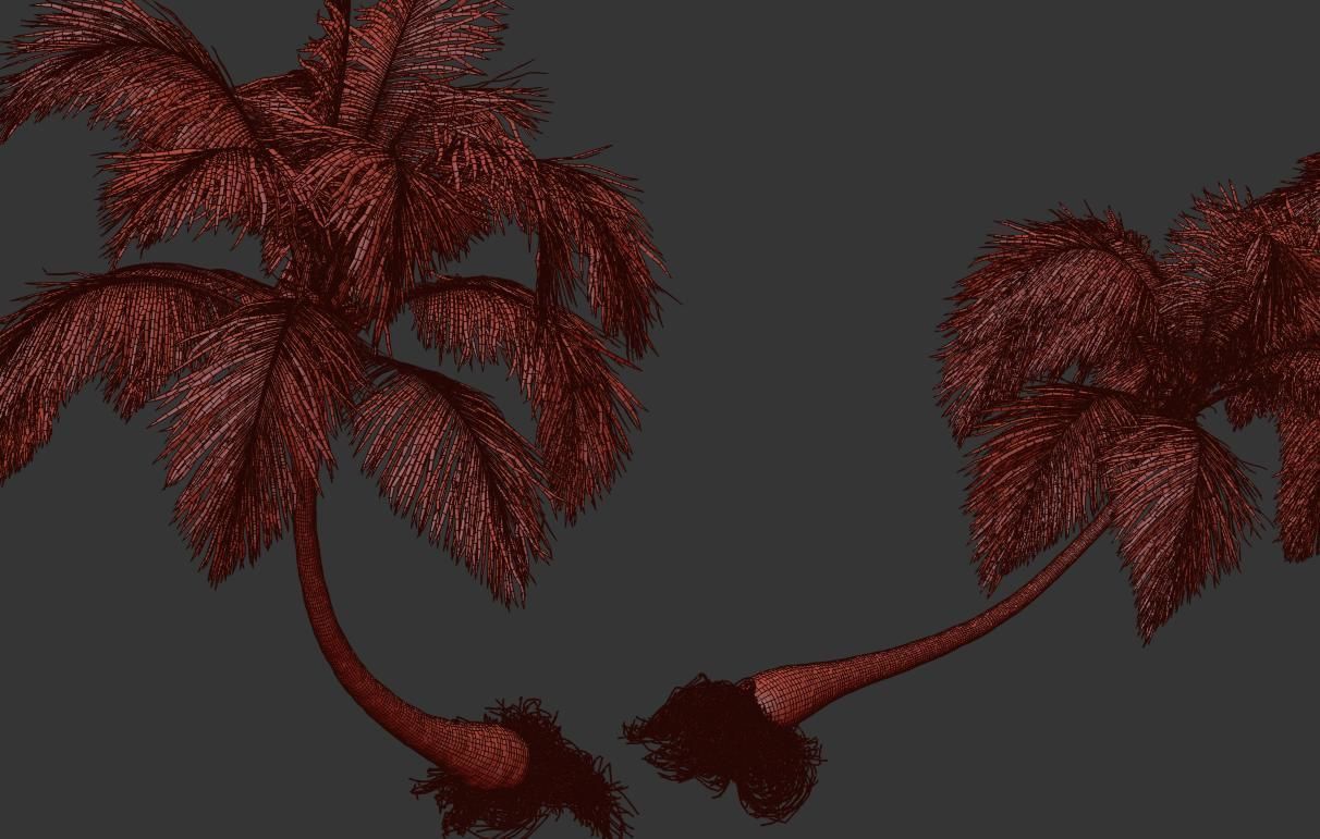 Palm trees Vol 1 3D model_20