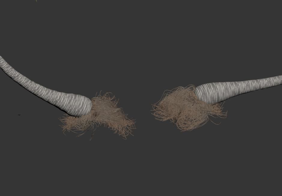 Palm trees Vol 1 3D model_24