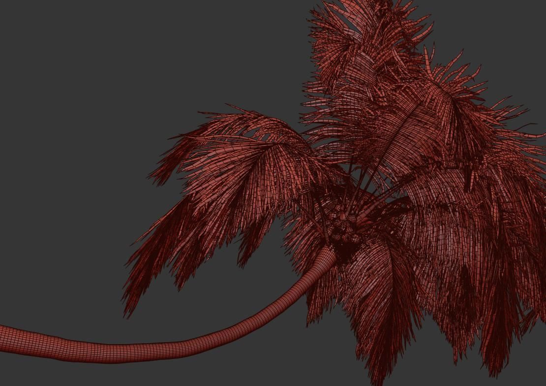Palm trees Vol 1 3D model_21