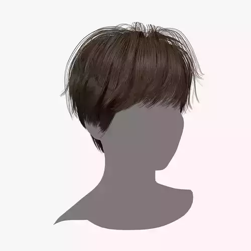 Female Hair - 008 3D model Female Hair - 008 3D model