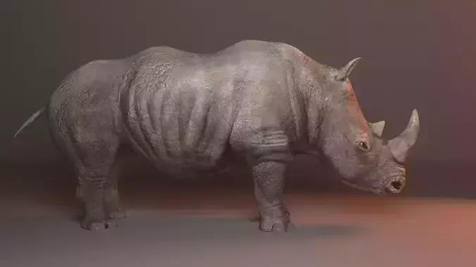 Rhino 3d model rhinoceros