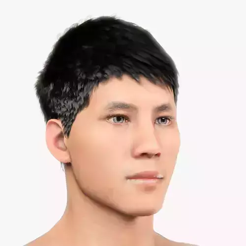 Male Hair - 005 3D model