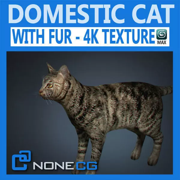 Domestic Cat with Fur 3D model_0