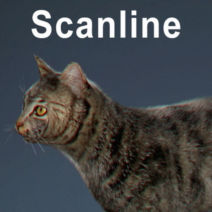 Domestic Cat with Fur 3D model_3