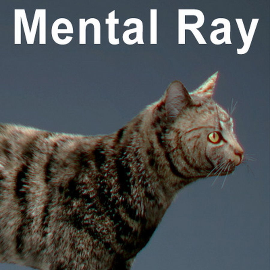 Domestic Cat with Fur 3D model_12