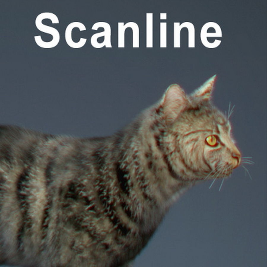 Domestic Cat with Fur 3D model_8