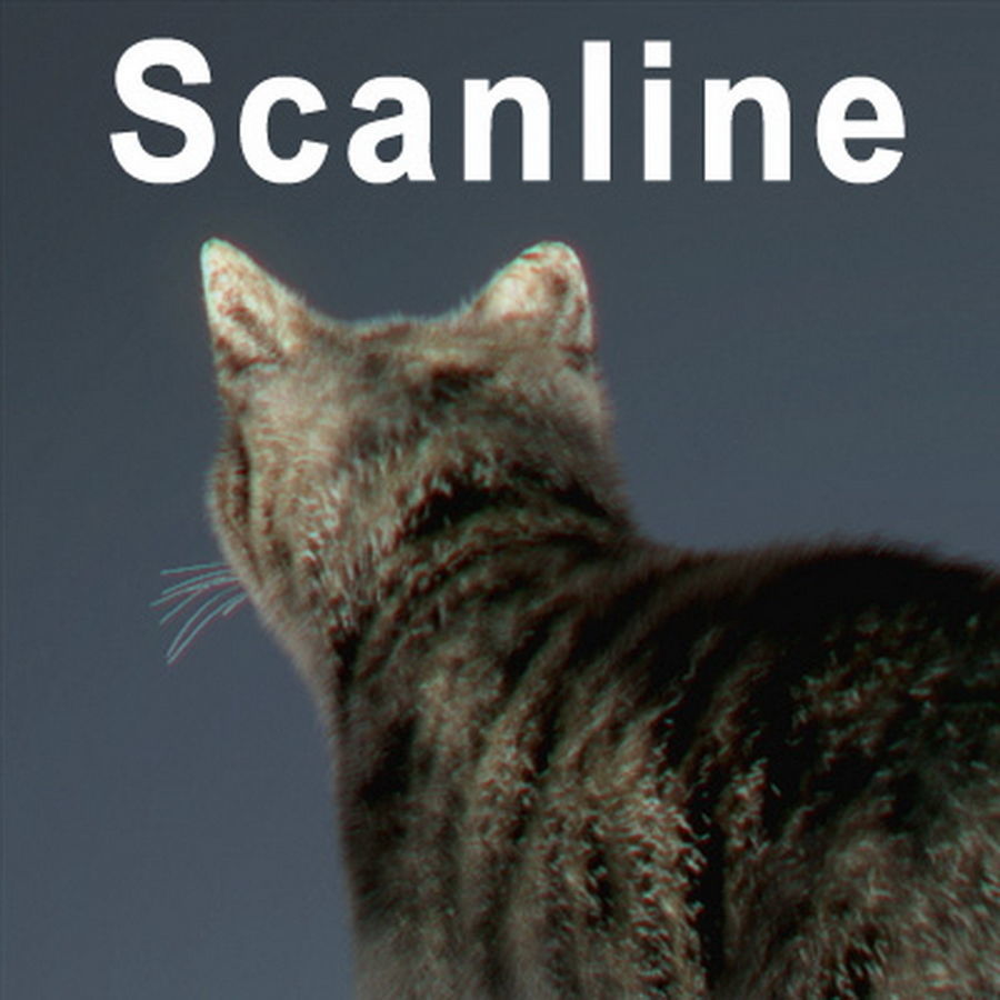 Domestic Cat with Fur 3D model_10