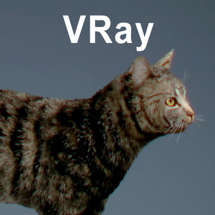 Domestic Cat with Fur 3D model_19