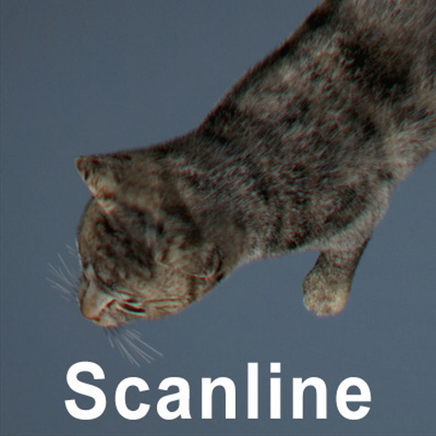 Domestic Cat with Fur 3D model_6