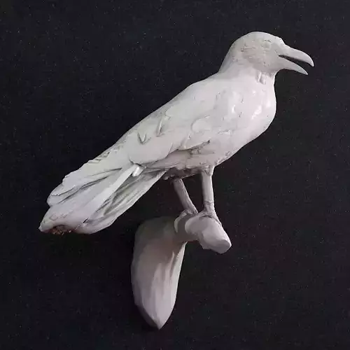 Crow raven bird 3D print model