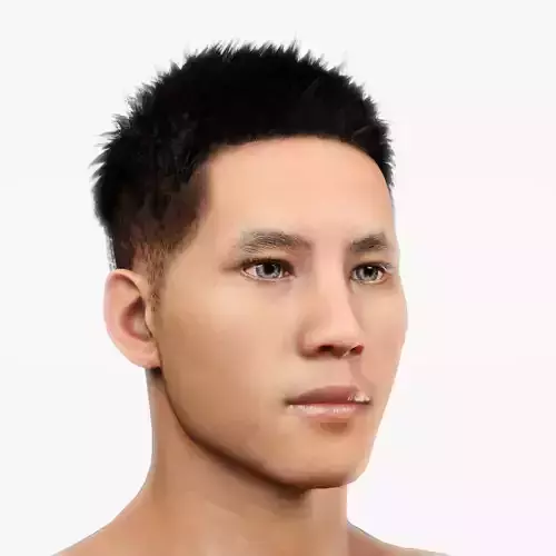 Male Hair - 010 3D model