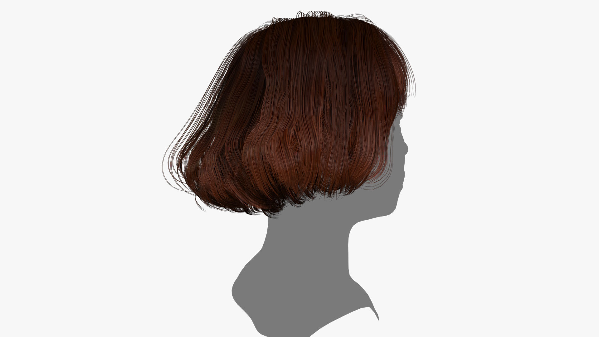 Female Hair - 012 3D model_3