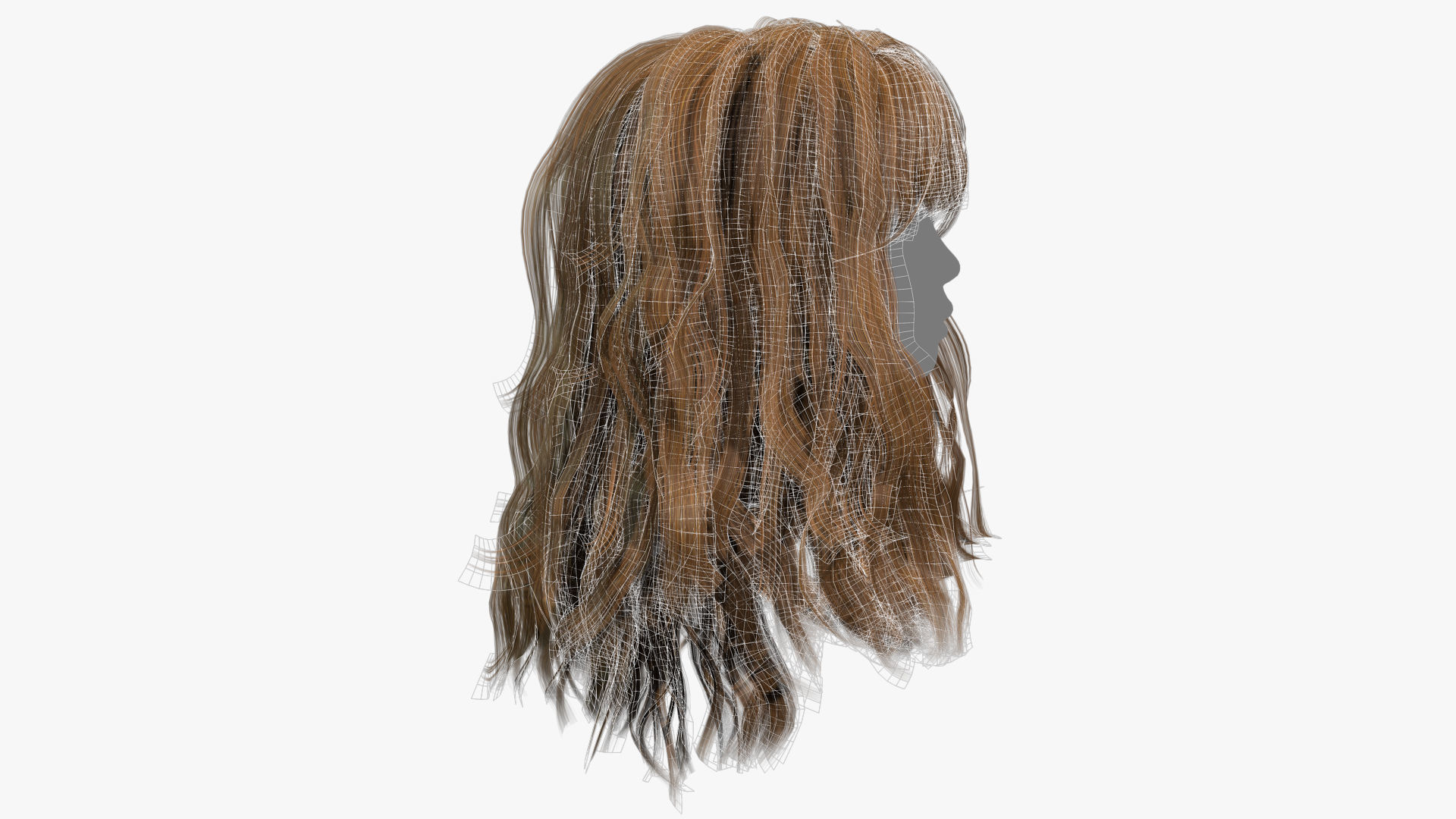 Female Hair - 013 3D model_13