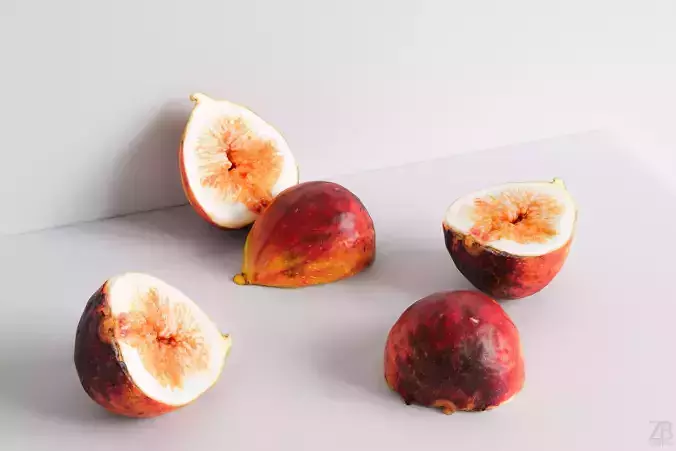 Fig   3D model