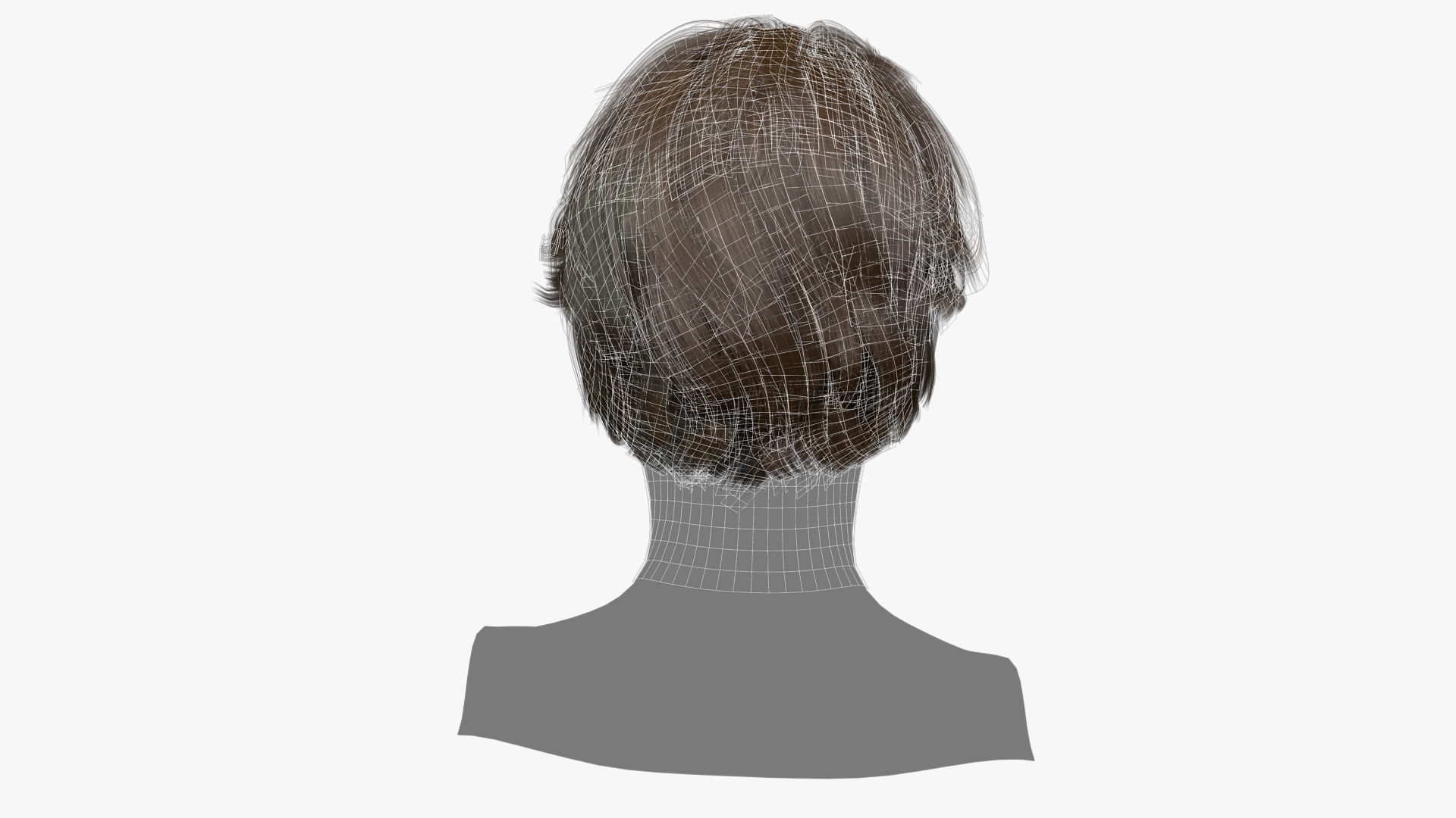 Female Hair - 017 3D model_14