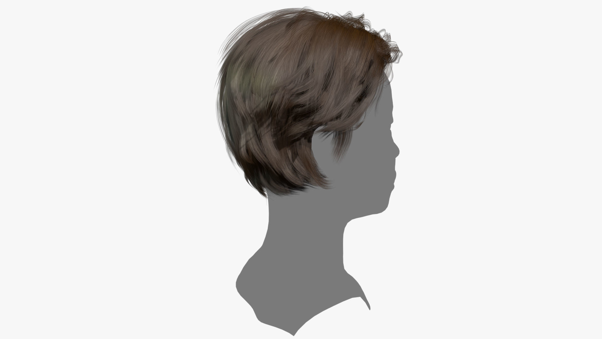Female Hair - 017 3D model_3