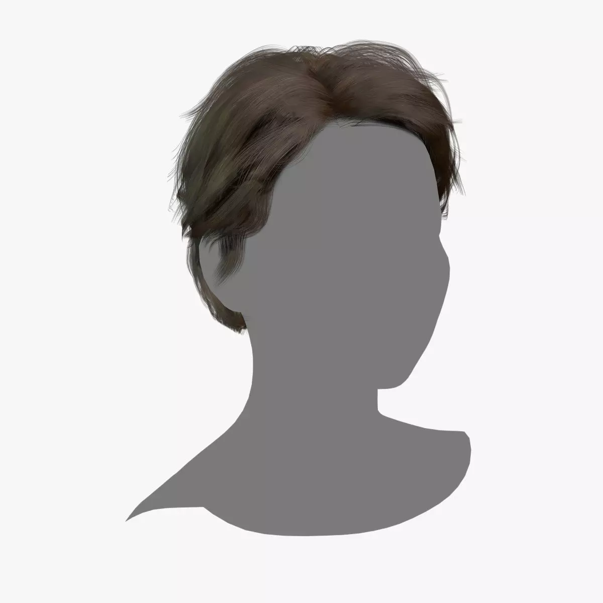 Female Hair - 017 3D model_0