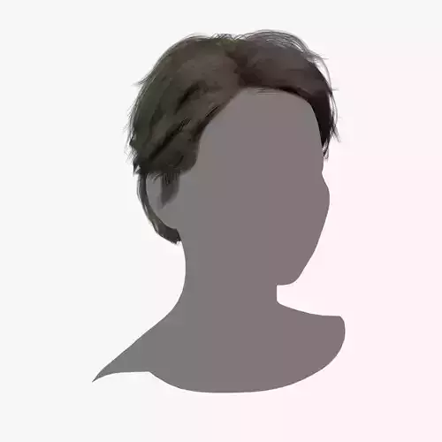 Female Hair - 017 3D model Female Hair - 017 3D model