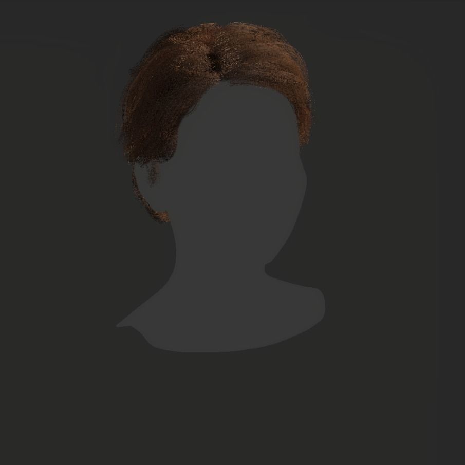 Female Hair - 017 3D model_17