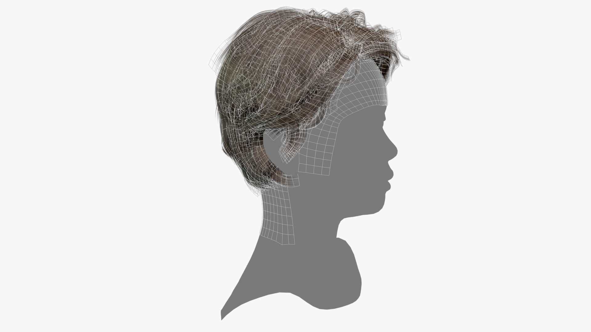 Female Hair - 017 3D model_13