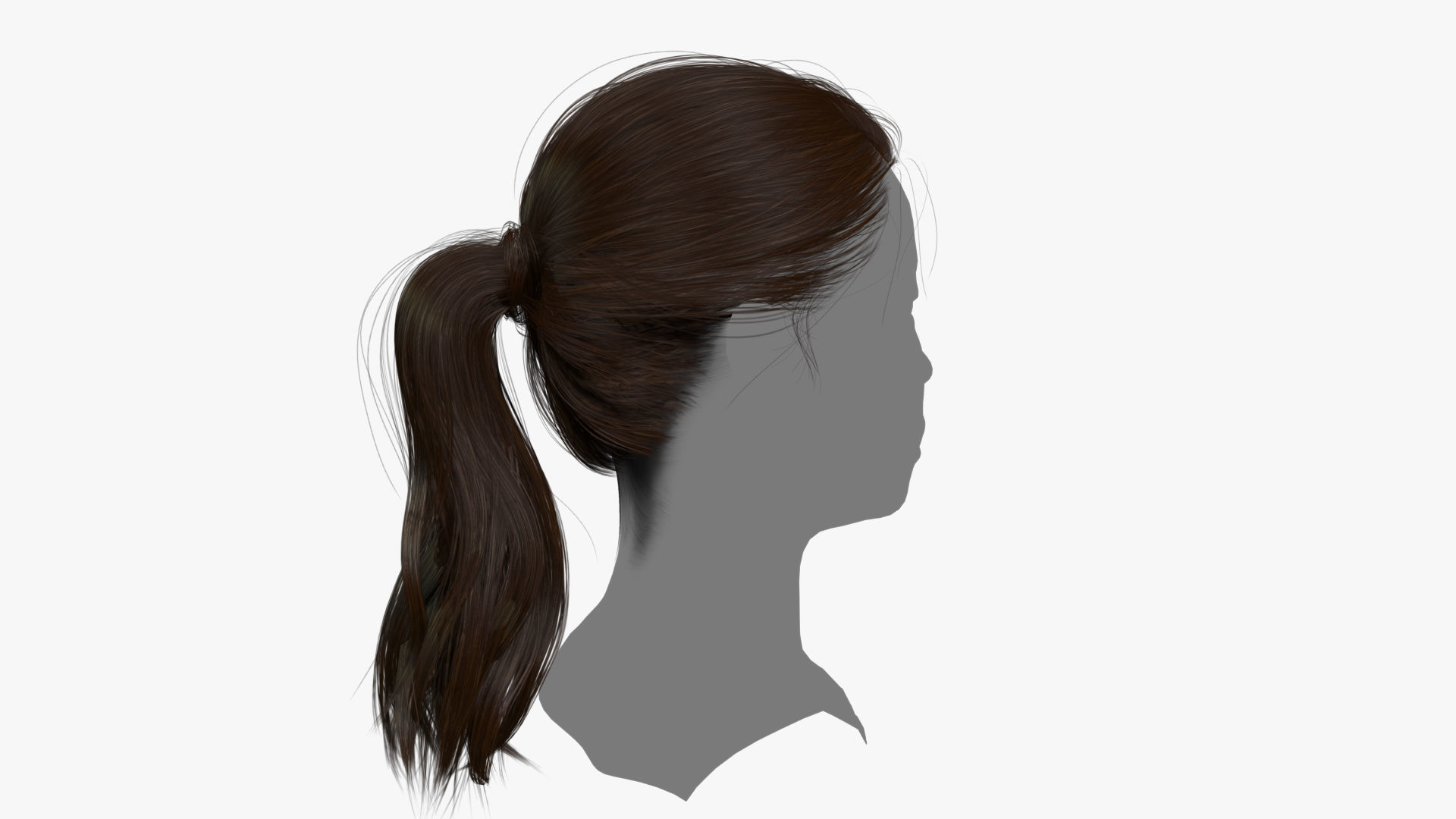Female Hair - 020 3D model_3