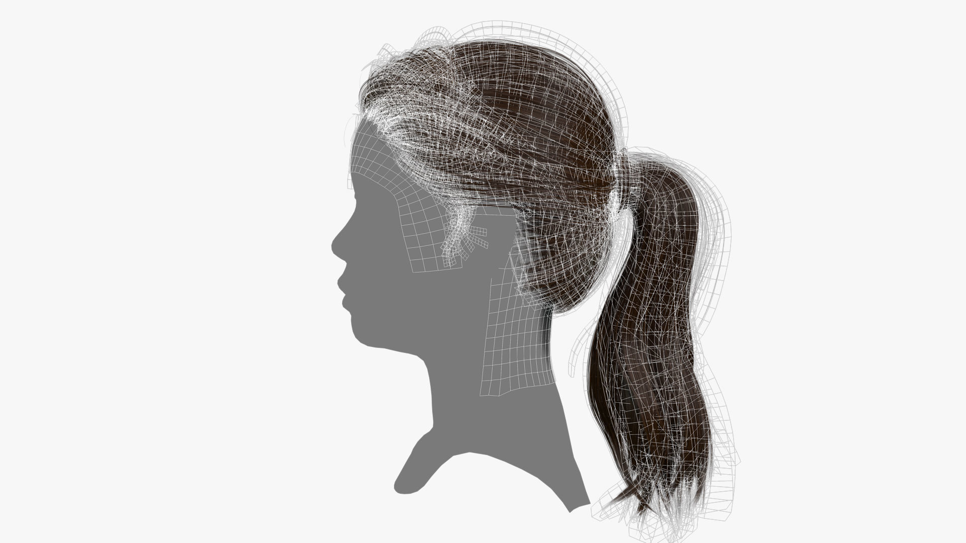 Female Hair - 020 3D model_15