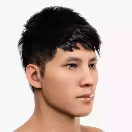 Male Hair - 011 3D model