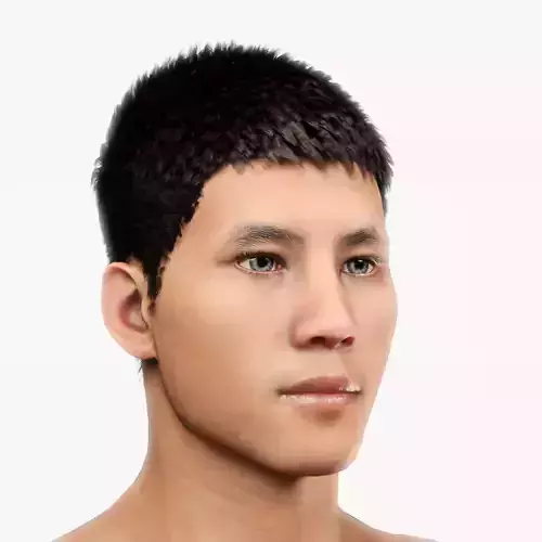 Male Hair - 013
