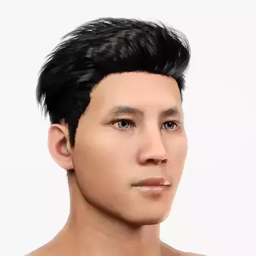 Male Hair - 014 3D model