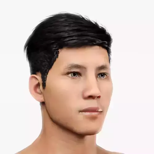Male Hair - 015 3D model
