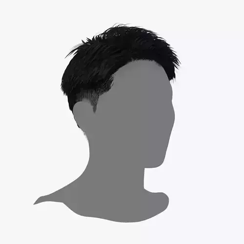 Male Hair - 017 3D model