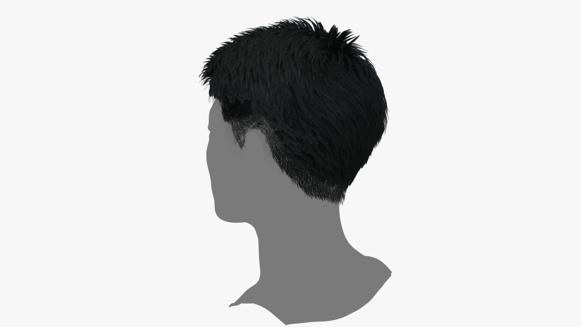 Male Hair - 017 3D model_5