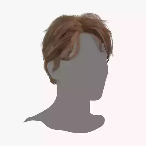 Male Hair - 018 3D model