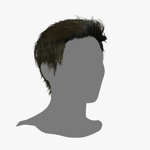 Male Hair - 020 3D model