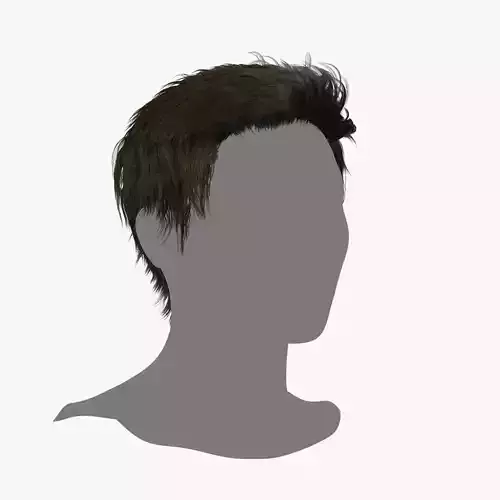 Male Hair - 020 3D model