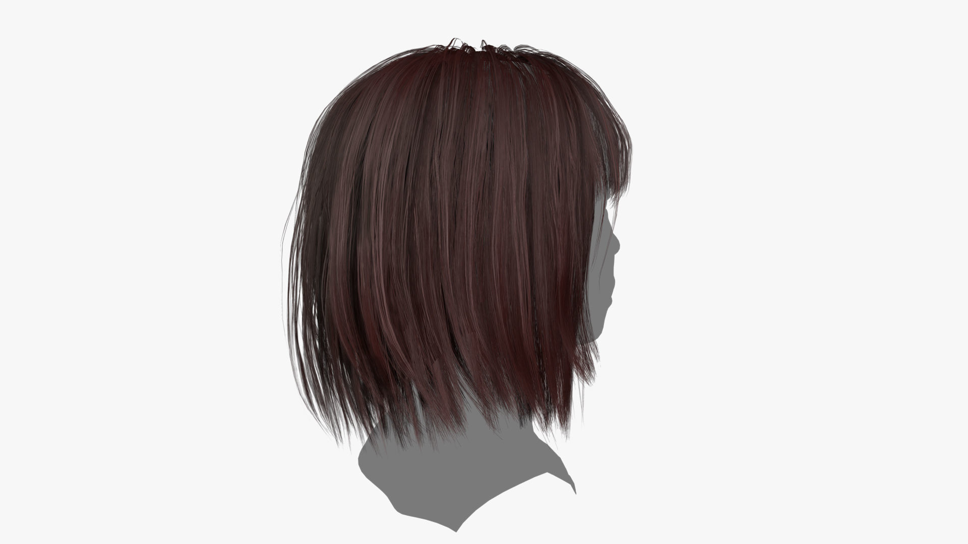 Female Hair - 021 3D model_3