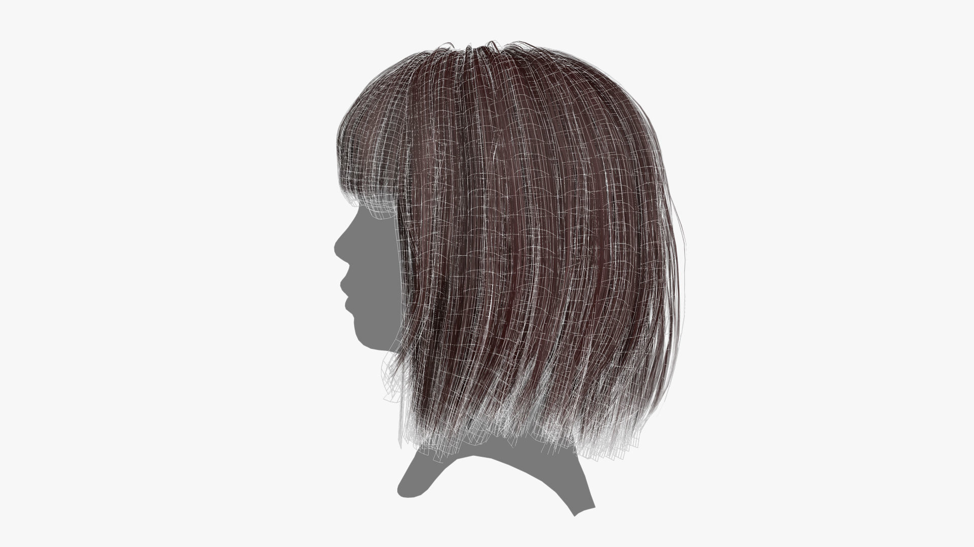 Female Hair - 021 3D model_15