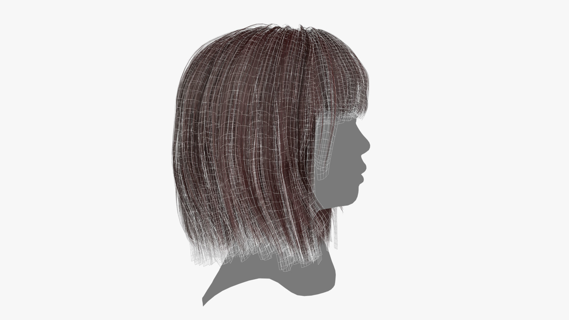 Female Hair - 021 3D model_13