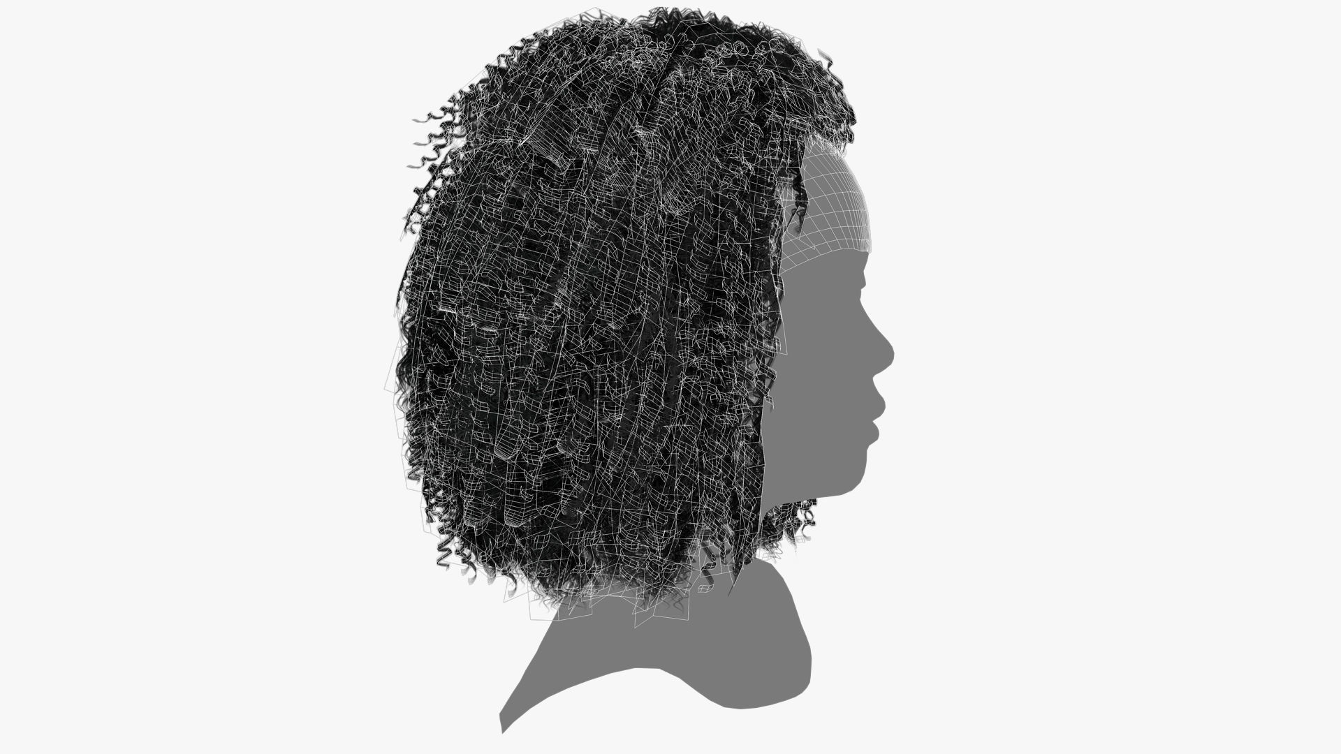 Female Hair - 022 3D model_13