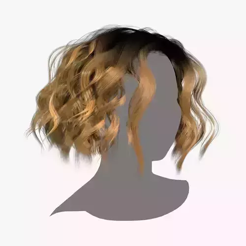 Female Hair - 024 3D model
