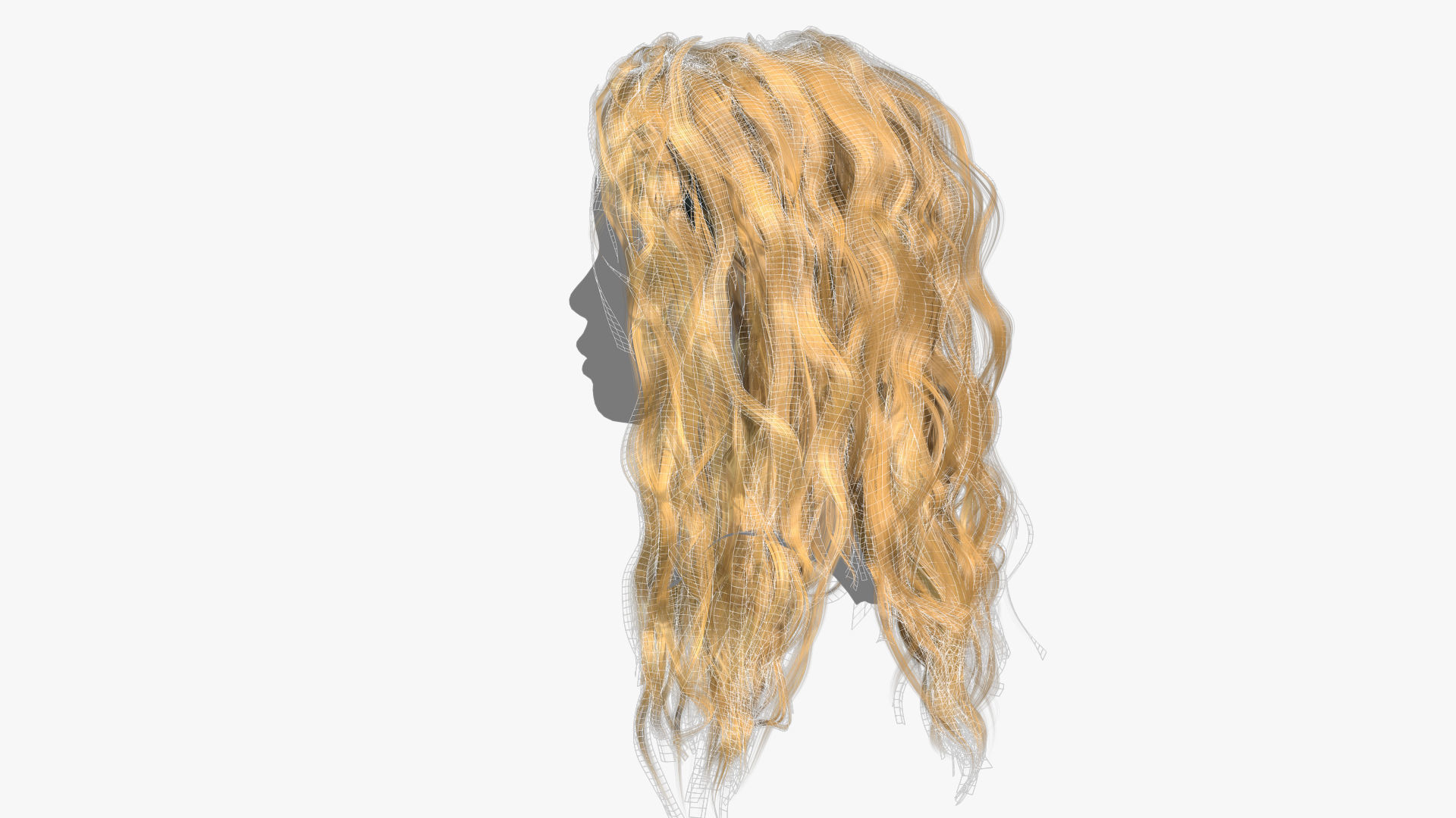 Female Hair - 025 3D model_15
