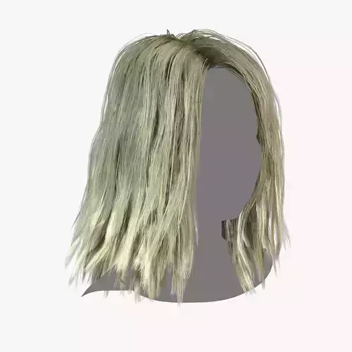 Female Hair - 027