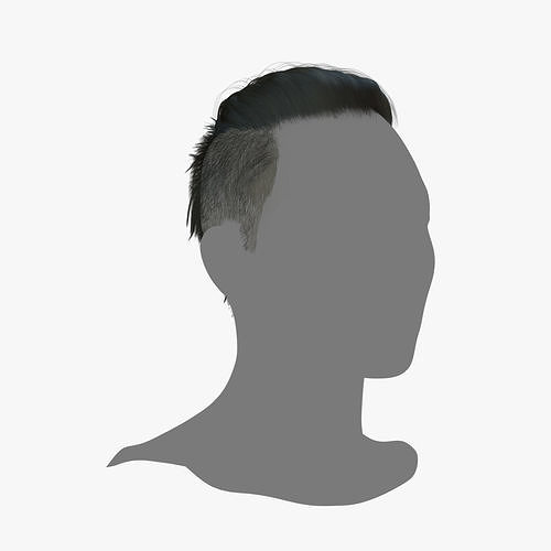 Male Hair - 021 3D model