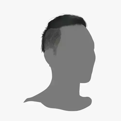 Male Hair - 021 3D model