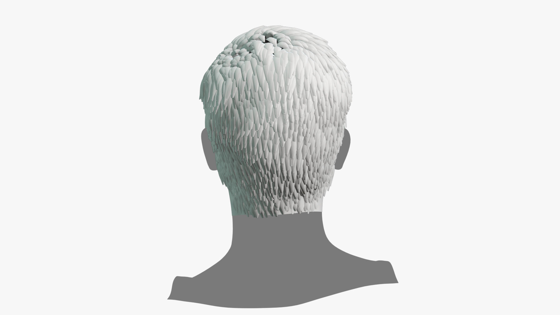 Male Hair - 024 3D model_9