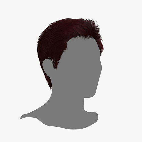 Male Hair - 024 3D model