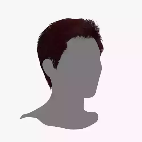 Male Hair - 024 3D model